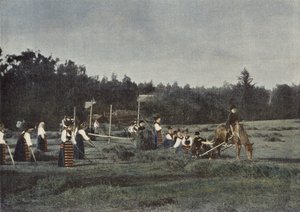 Haymaking in Dalecarlia, Sweden by European Photographer